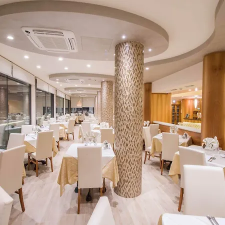 Mayer Бибионе